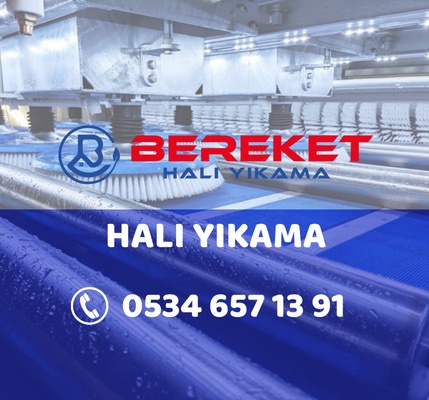 Halı Yıkama